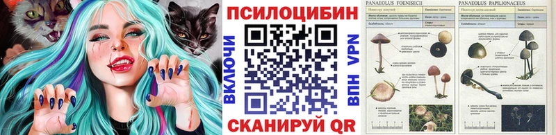 Псилоцибиновые грибы мицелий Купить где Всеволожск